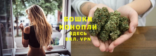 мескалин Арсеньев