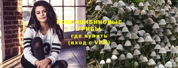 мескалин Арсеньев