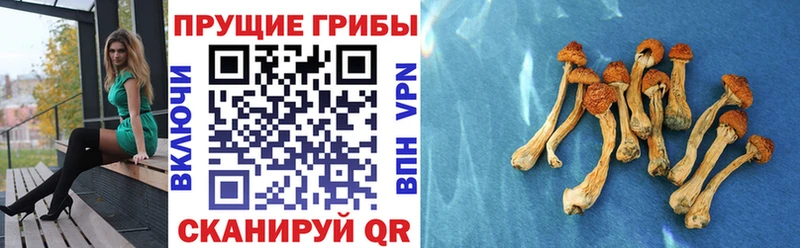 Псилоцибиновые грибы ЛСД как найти закладки Окуловка